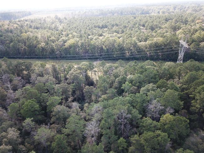 18156 State Highway 87 S, Home with 0 bedrooms, 0 bathrooms and null parking in Call TX | Image 12