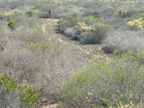 TR102 Frontier A Rd, Freer, TX, 78357 | Card Image