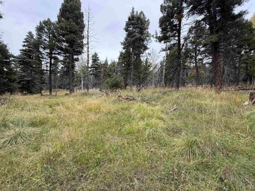 1469 Cheerful Way, Angel Fire, NM, 87710 | Card Image