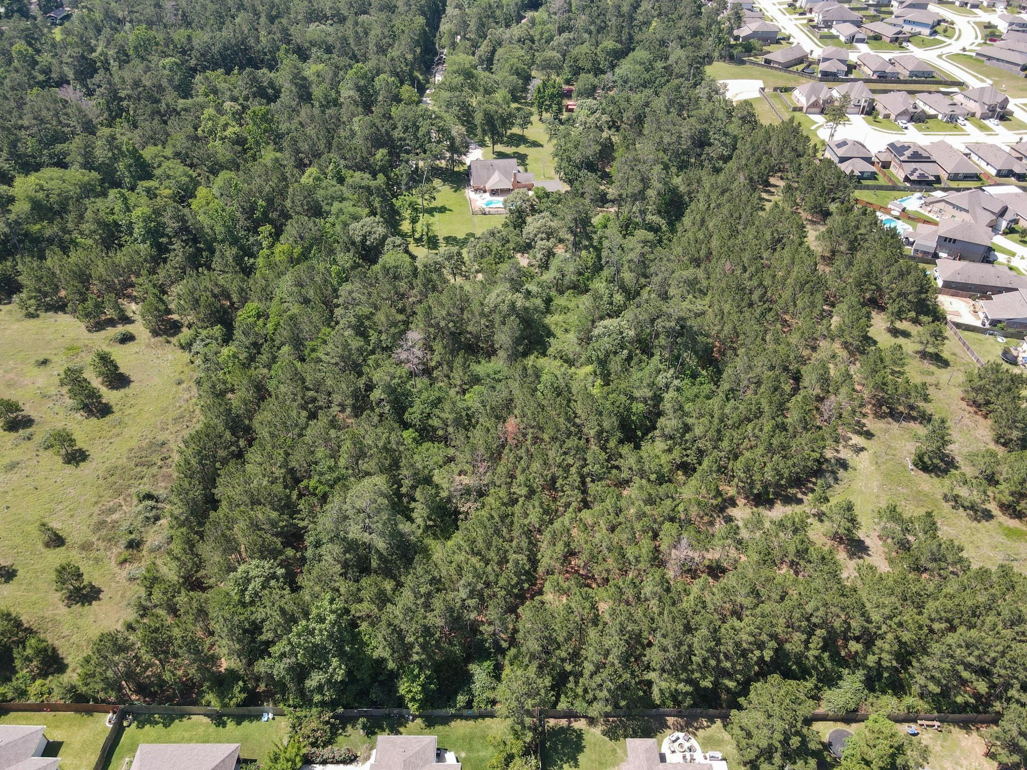 Residential in Magnolia 5