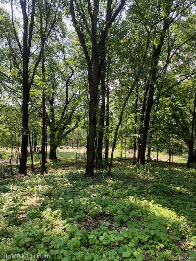 6 Sleaford Parcel 6   2.1 Acres Road, Home with 0 bedrooms, 0 bathrooms and null parking in Howell Township MI | Image 23