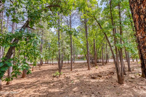 4063 Bridle Path Circle, Pinetop, AZ, 85935 | Card Image