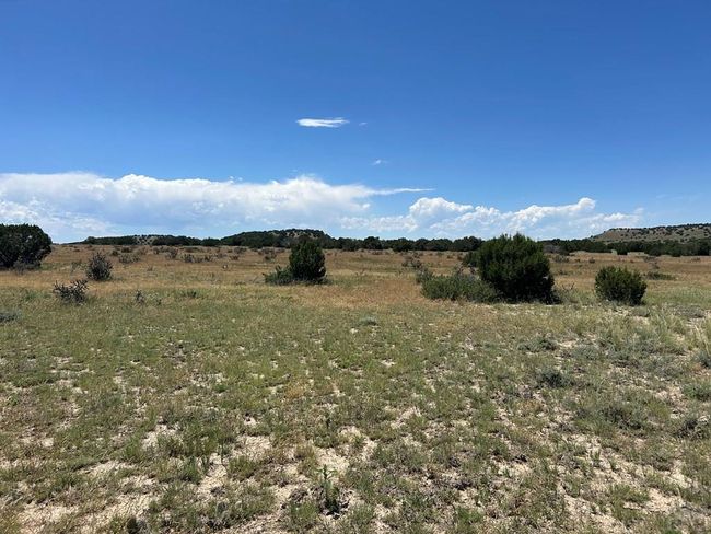 Lot 17 Longhorn Rd, Home with 0 bedrooms, 0 bathrooms and null parking in Model CO | Image 4