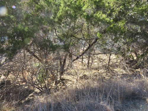 TBD LOT 25 Sunset Cliff Road, Burnet, TX, 78611 | Card Image