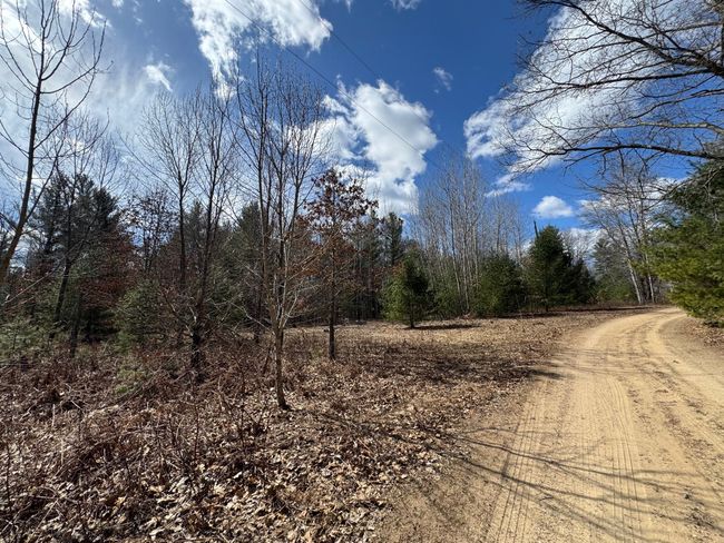 4233 Hardacre Trl, Home with 0 bedrooms, 0 bathrooms and null parking in Houghton Lake MI | Image 36