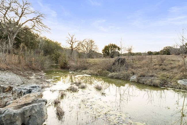 View of local wilderness | Image 25