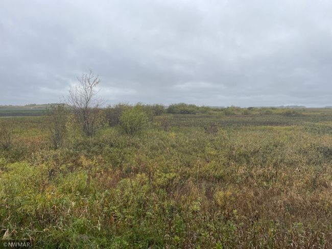 219 Highway, Home with 0 bedrooms, 0 bathrooms and null parking in Goodridge MN | Image 18