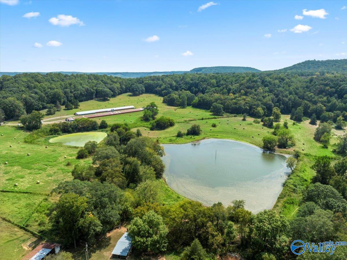 Forman Bottoms Rd, Somerville, AL 35670
