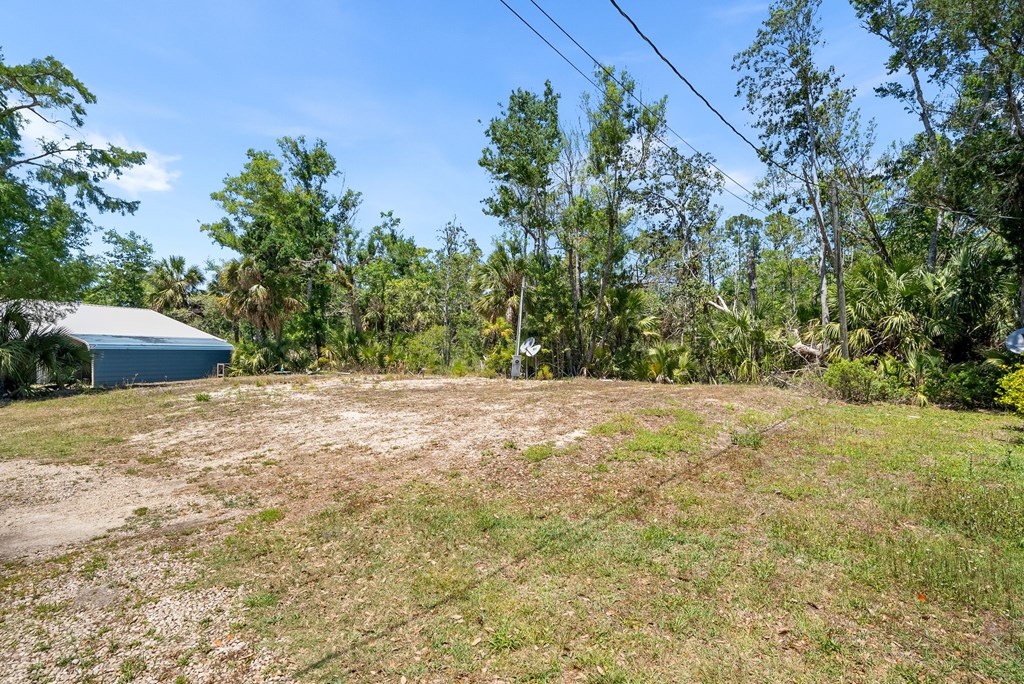 Land in Steinhatchee 4