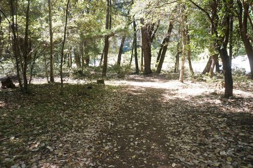 30 Suzy Q. Rd, Hawkins Bar, CA, 95527 | Card Image