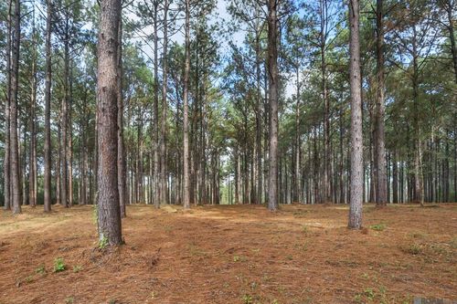 80114 Rosemary Lane, St Francisville, LA, 70775 | Card Image