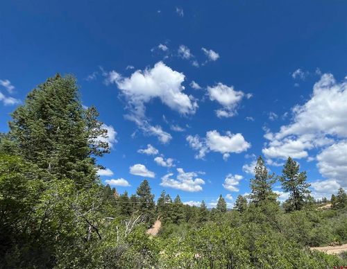 501 Echo Ln, Pagosa Springs, CO, 81147-9633 | Card Image