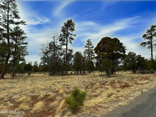 295-4109 Durango Dr, Happy Jack, AZ, 86024-8904 | Card Image