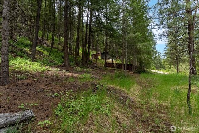 7 Howerton Rd, Home with 0 bedrooms, 0 bathrooms and null parking in Twisp WA | Image 15