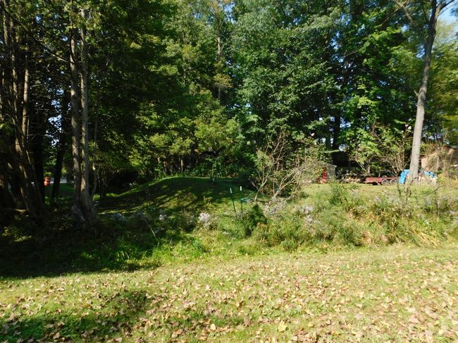 6832 S Forest Haven Rd, House other with 2 bedrooms, 1 bathrooms and null parking in Shawano WI | Image 32