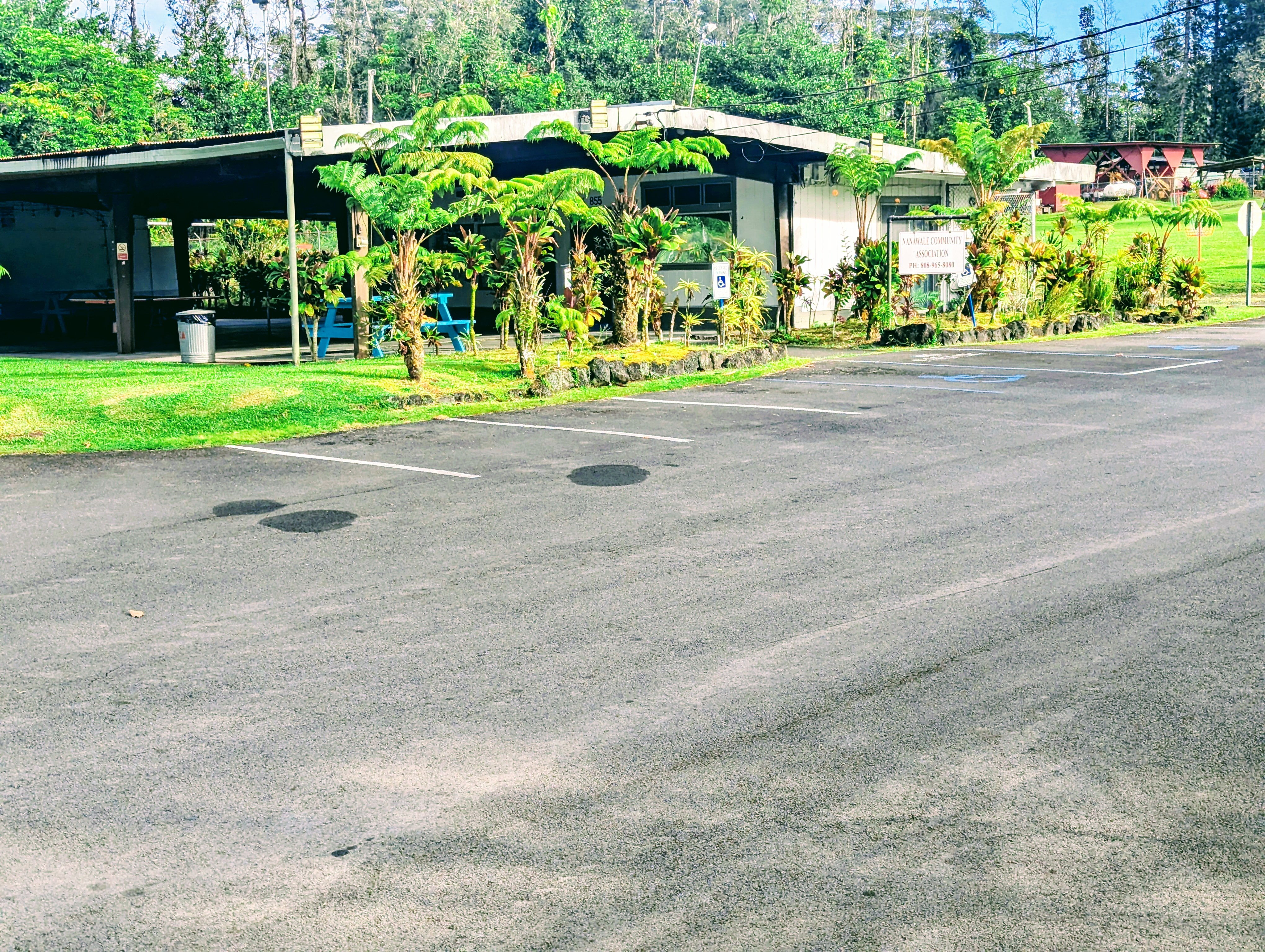 Land in Pahoa 5
