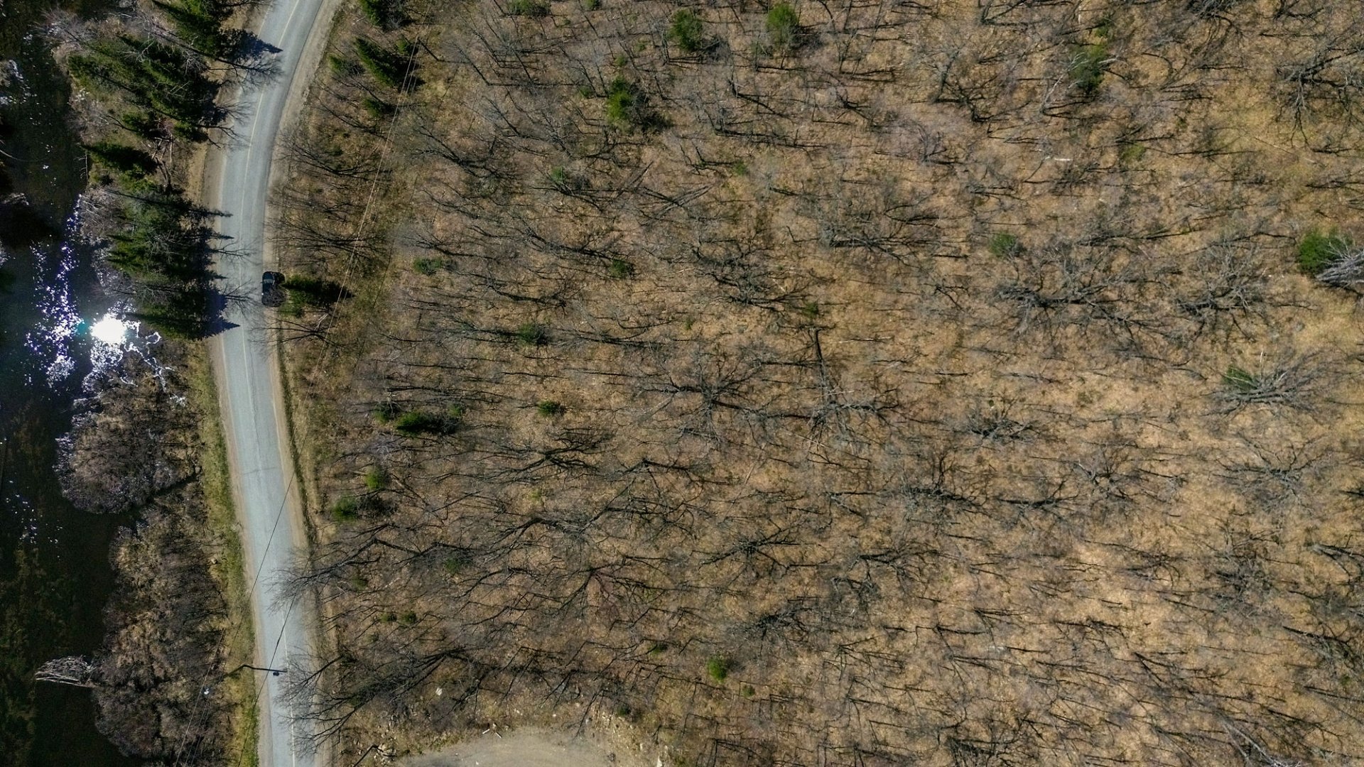 Land in Val-des-Monts 4