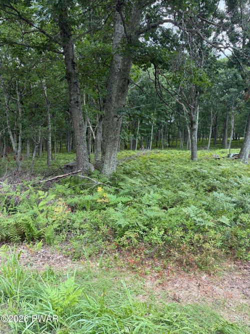 Lot 28 Snowshoe Ct, Bushkill, PA, 18324-8638 | Card Image