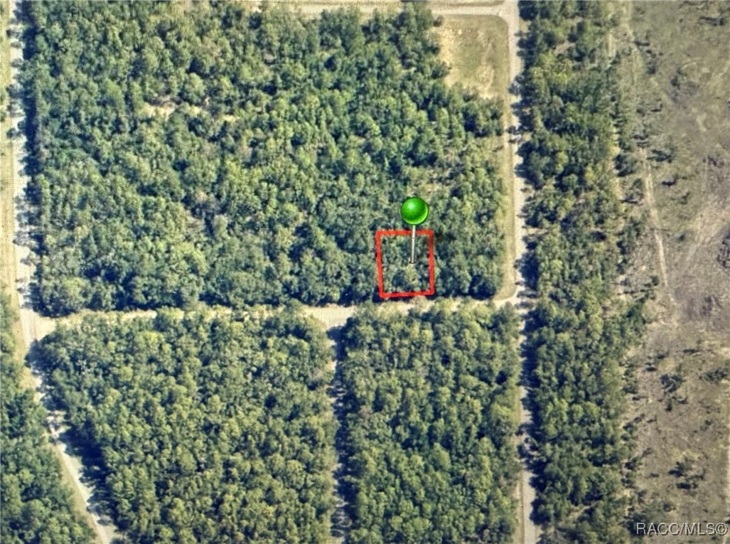 Land in Citrus Springs 2