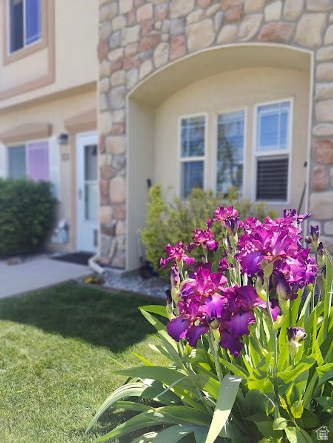 Entrance to property featuring stone siding and a yard | Image 4