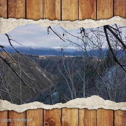 82-215 Alaska State Land Survey, Homer, AK, 99603 | Card Image