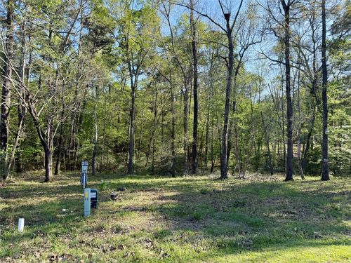 TBD Leaning Oak Dr, Pointblank, TX, 77364 | Card Image
