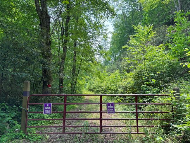 88 acres Bolden Branch Rd, Home with 0 bedrooms, 0 bathrooms and null parking in Andrews NC | Image 5
