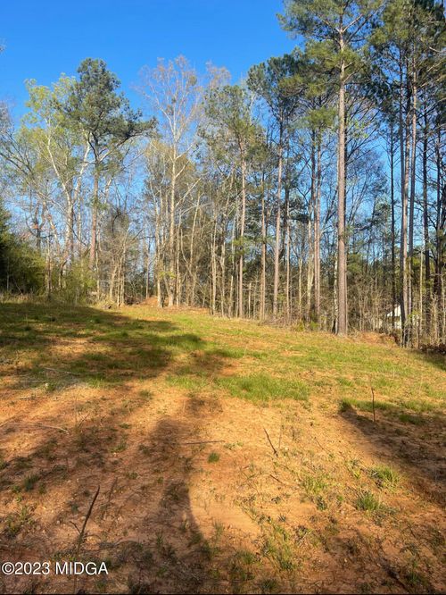 0 Old Benton Rd, Juliette, GA, 31046 | Card Image