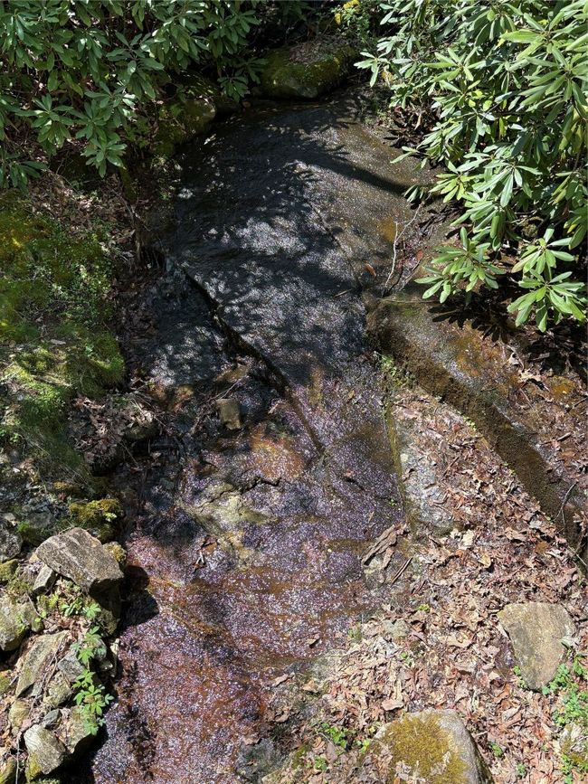 Creek on 199 Springhead Trail | Image 51