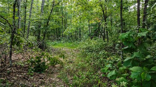 1187 Umstead Ridge Road, Creston, WV, 26141 | Card Image