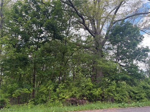 V/L Trenton Road, Akron, OH, 44312 | Card Image