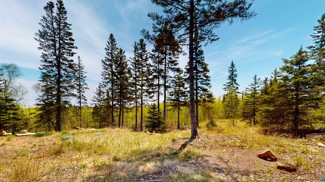 172 Boulder Point Ln, House other with 2 bedrooms, 1 bathrooms and null parking in Lutsen MN | Image 21