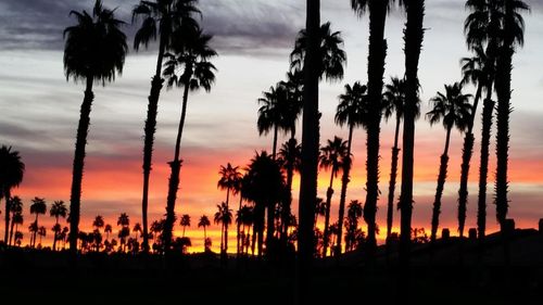 110 Conejo Cir, Palm Desert, CA, 92260-0383 | Card Image