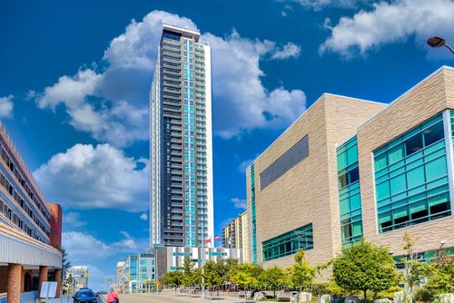 {{alt}} | Card Image