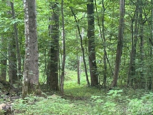 00 Sugar Loaf Mountain Road, Marshall, NC, 28753 | Card Image
