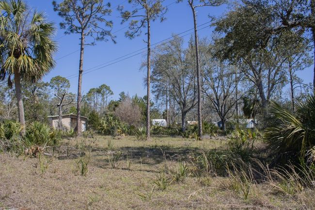 1313 2 Nd Ave N, Home with 0 bedrooms, 0 bathrooms and null parking in Steinhatchee FL | Image 8