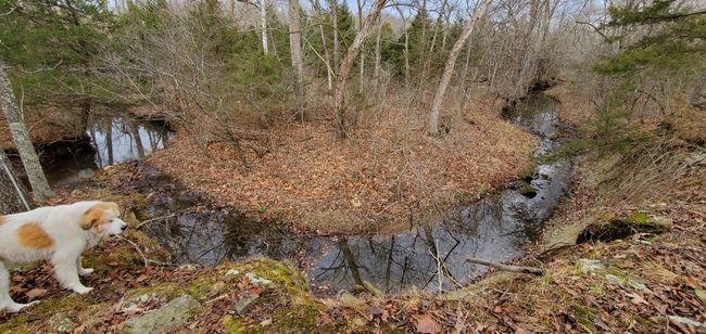 20211226_094223 | Image 8