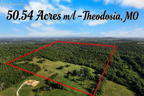 550 County Road 900, Theodosia, MO, 65761-6409 | Card Image