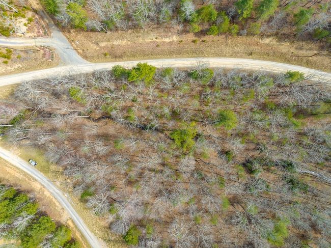 Lot12/14 Lake Forest Lane, Home with 0 bedrooms, 0 bathrooms and null parking in Bland VA | Image 17