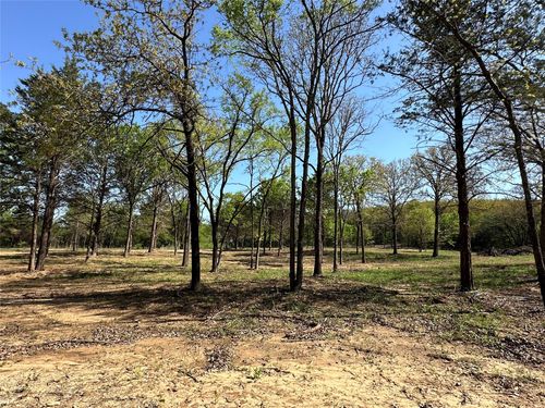 TBD Lot 3 Cr-147, Gainesville, TX, 76240 | Card Image