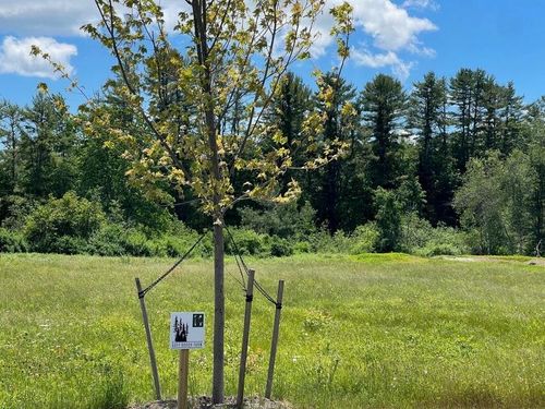 13 Forest Drive, Arundel, ME, 04046 | Card Image