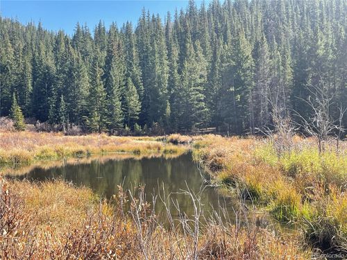 1924 Fs Road 126, Grant, CO, 80448 | Card Image