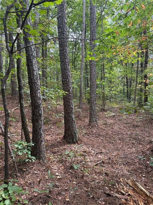 3842 Salacoa-Tract A, Waleska, GA, 30183 | Card Image
