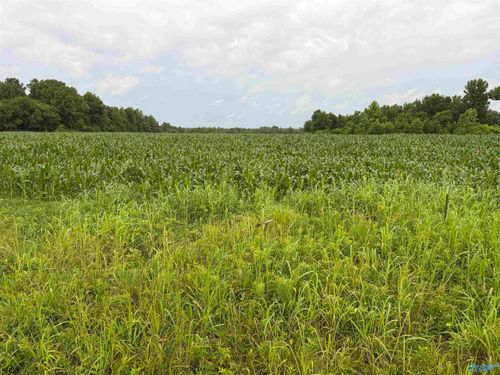 786 Acres County Road 133, Town Creek, AL, 35672 | Card Image