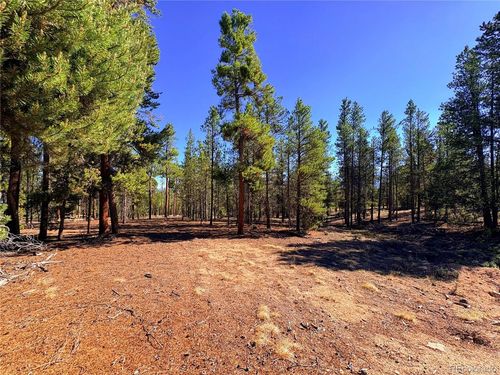 399 Lodgepole Dr, Leadville, CO, 80461-9233 | Card Image