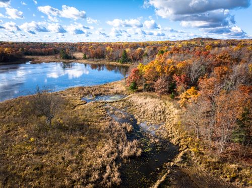 8686 E 3 Mile Rd, White Cloud, MI, 49349 | Card Image