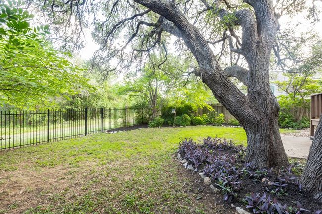 View of yard | Image 33