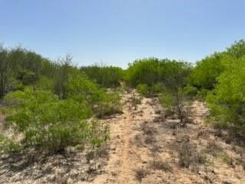 000 Cr 231, Premont, TX, 78375 | Card Image