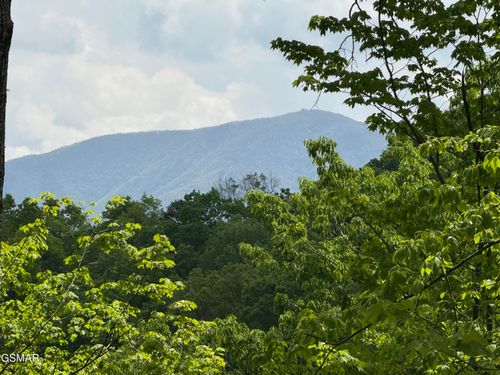 80 Whetstone Rd, Sevierville, TN, 37862 | Card Image