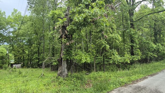 405 Spring St, House other with 3 bedrooms, 2 bathrooms and null parking in Monteagle TN | Image 28